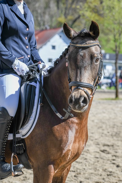 难题得到解 难题得到解