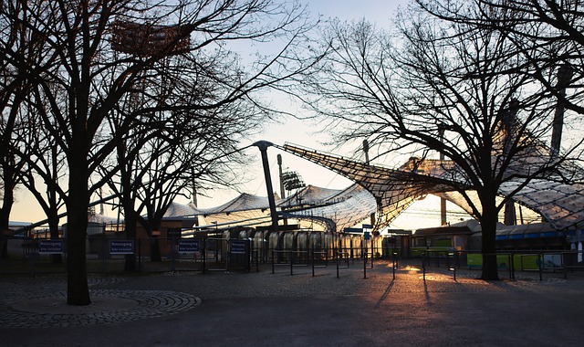 到球队核心 到球队核心