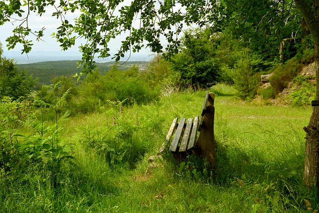 深入了解此 深入了解此